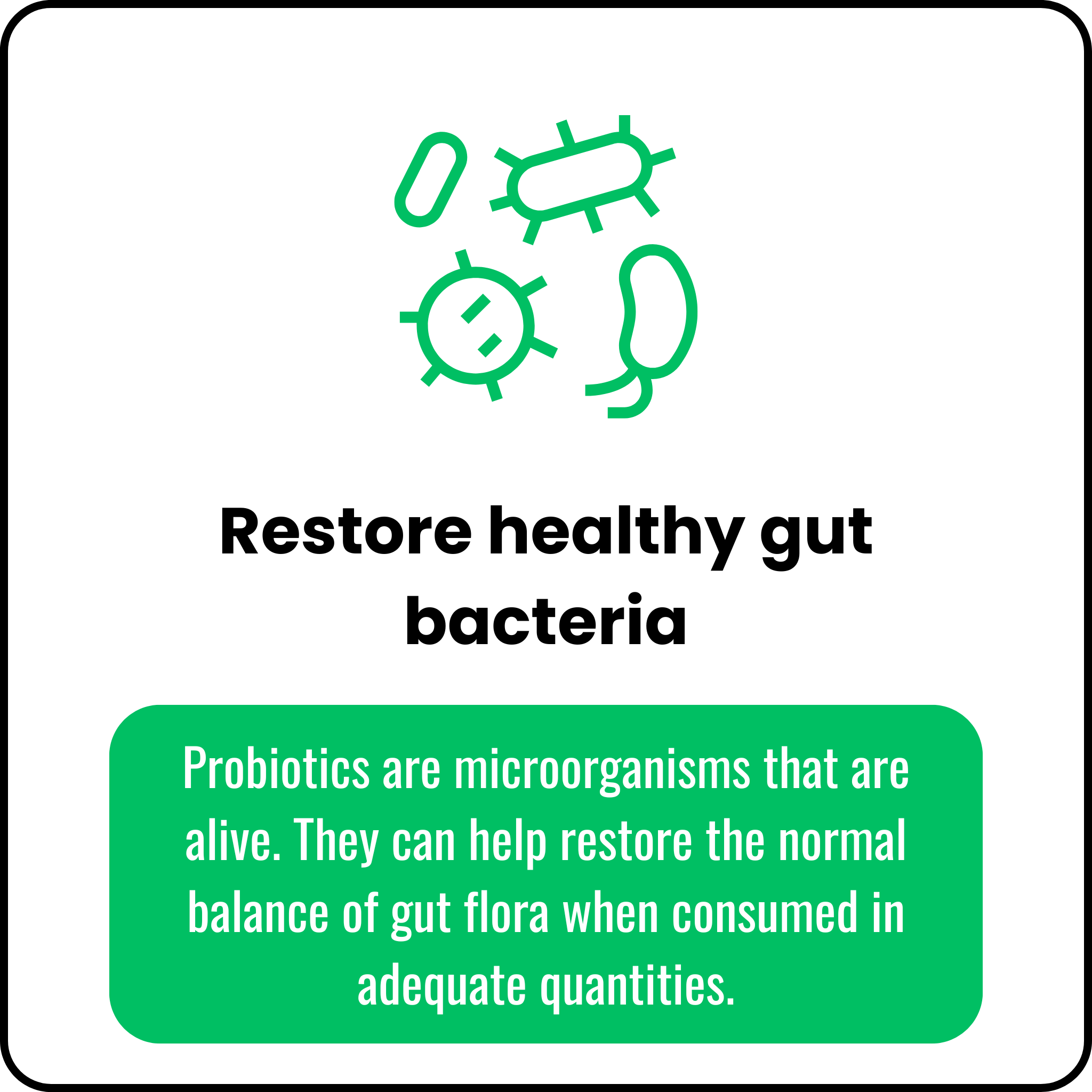 Probiotic 40 Billion with Prebiotics