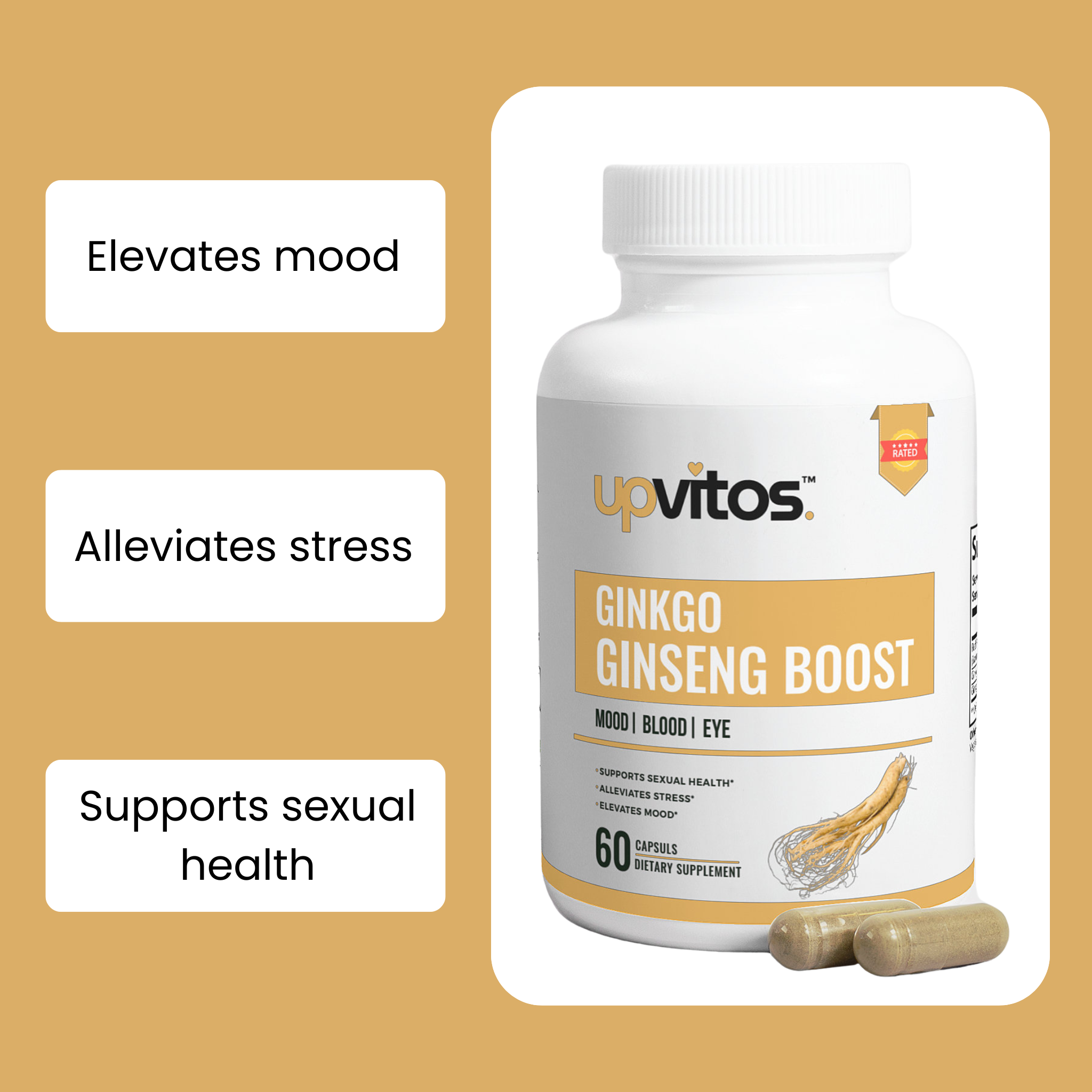 Ginkgo Biloba + Ginseng